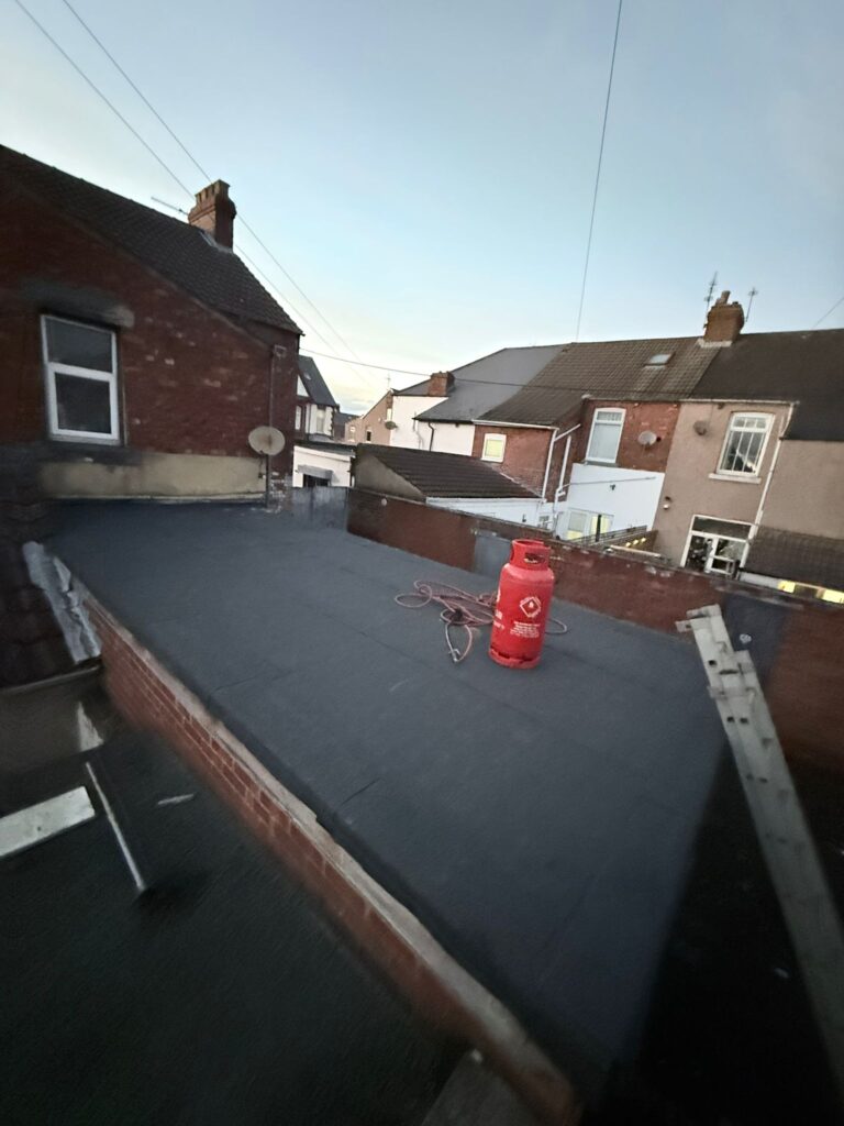 What to Do If Your Roof Is Leaking