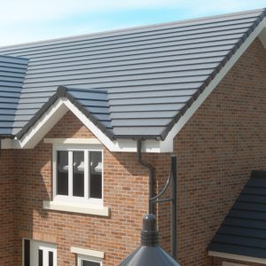 Expert Dry Fix Roofs